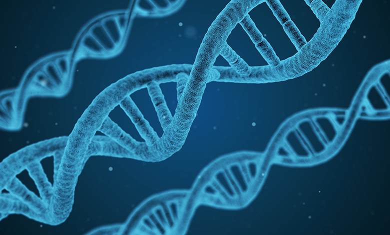 Kakva je povezanost matematike, biologije i medicine?