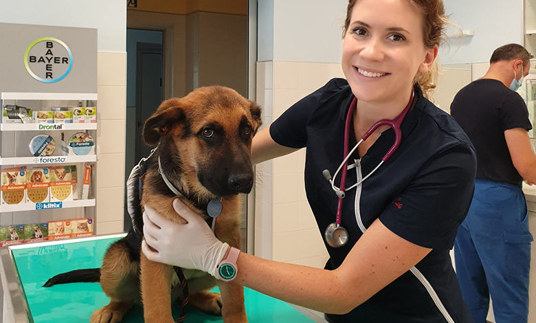 Kako psi komuniciraju?