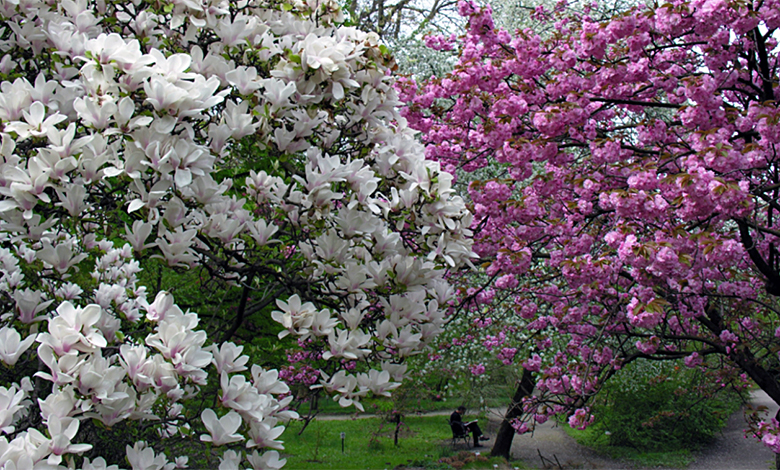 Botanički vrt uvodi ulaznice