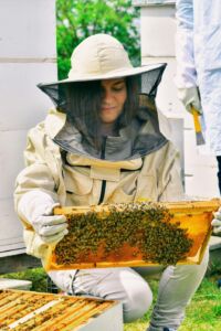 VEF: Specijalistički poslijediplomski studiji na engleskom jeziku