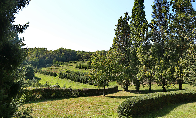 Pravila privatnosti