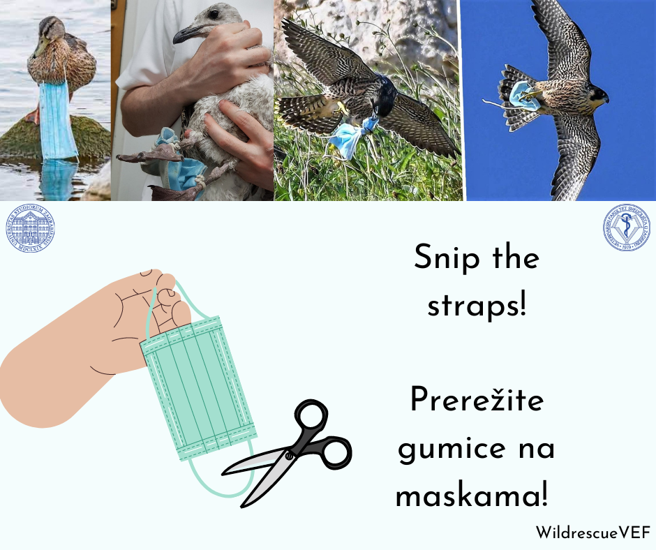 Prerežite gumice na maskama za lice!