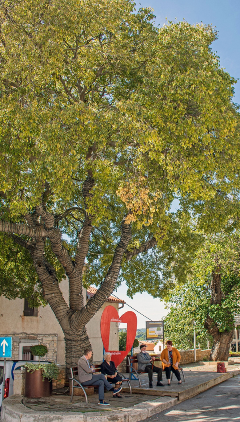 Započele nominacije za Hrvatsko stablo godine