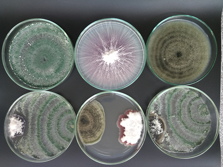 102 godine Agronomskog fakulteta