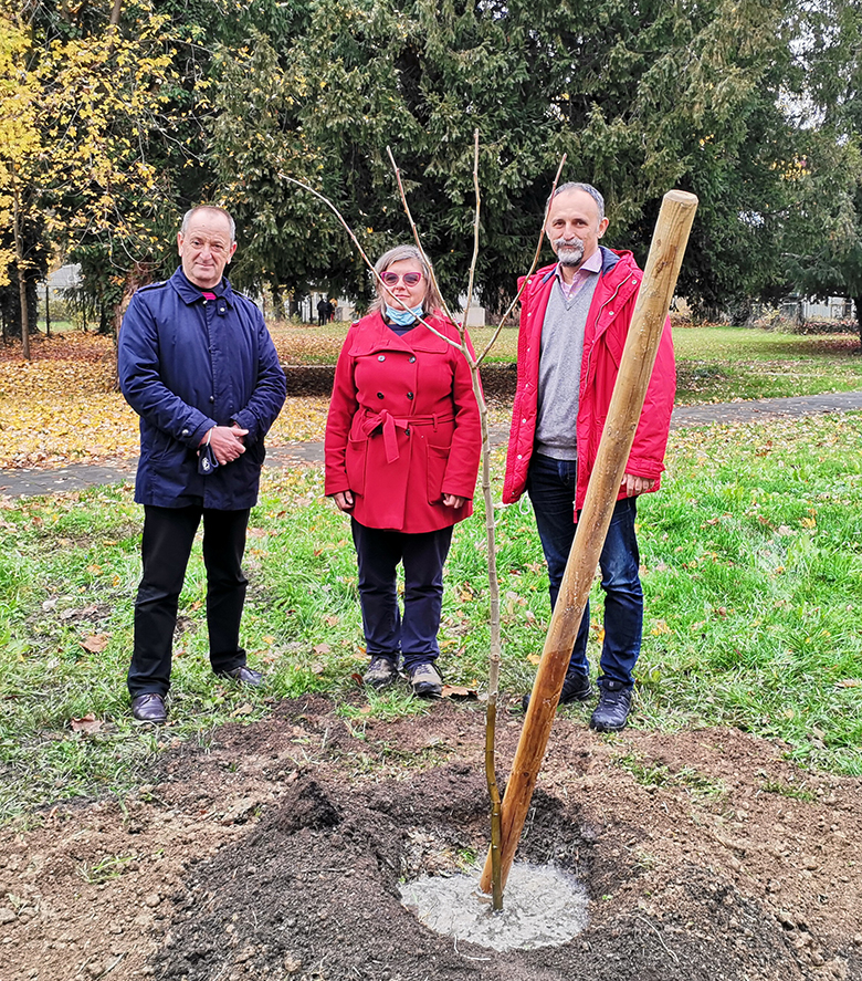 Jednom su sadili lipu