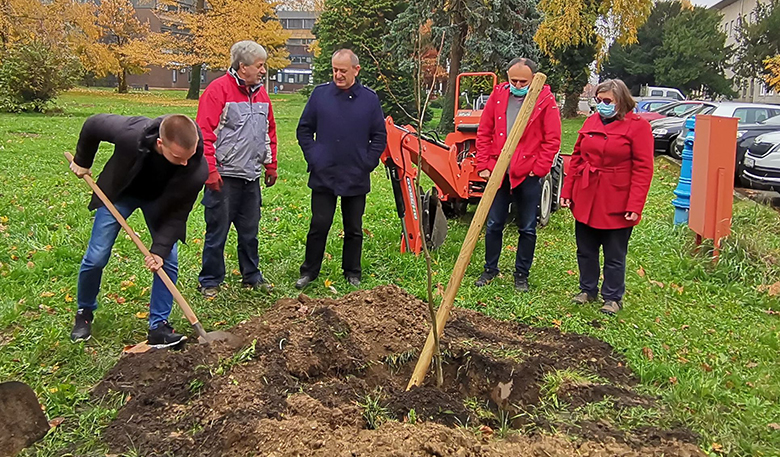 Jednom su sadili lipu