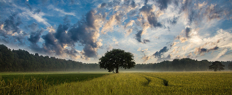Inovacije su nužne za konkurentnost naše poljoprivrede