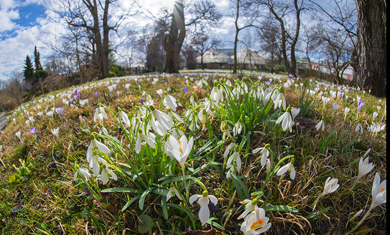 Botanički vrt PMF-a ponovo otvoren