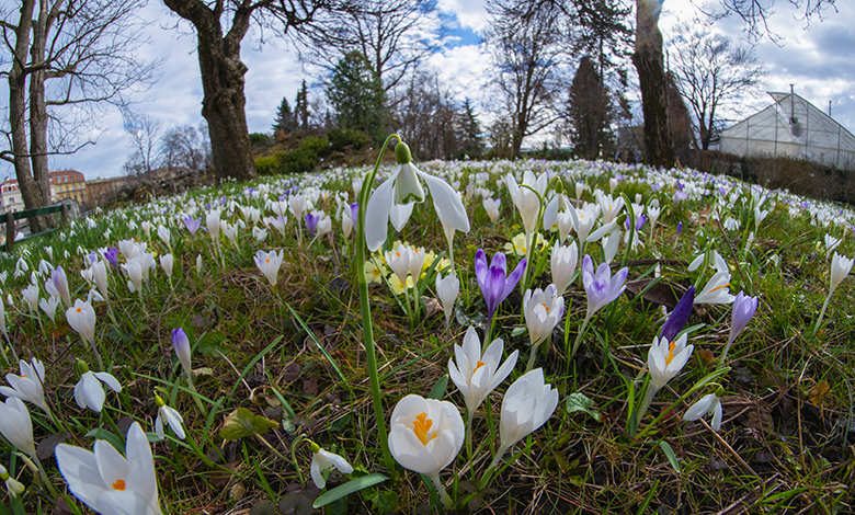 Botanički vrt PMF-a ponovo otvoren