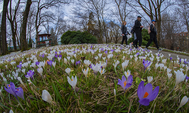 Botanički vrt PMF-a ponovo otvoren