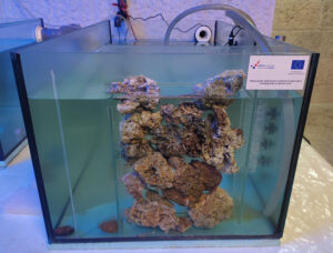 Značajna suradnja znanstvenika iz Zagreba i Pule 