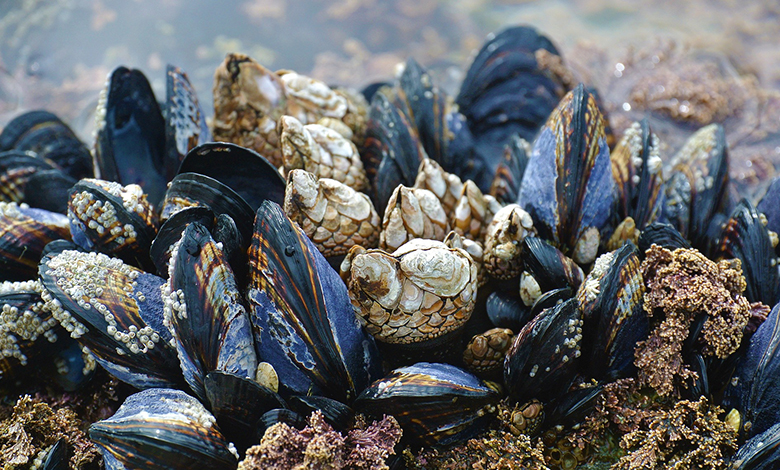 Značajna suradnja znanstvenika iz Zagreba i Pule 