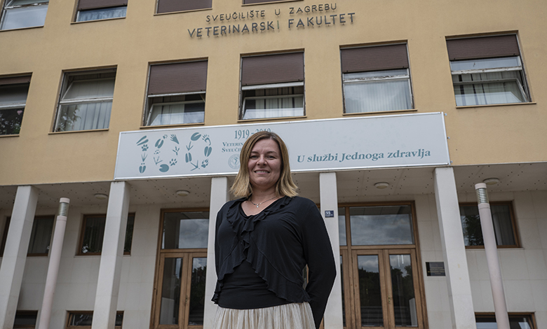 Otklanjanje straha od zajednice zujećih pčela prvi je korak u čuvanju zdravlja tih marljivih kukaca