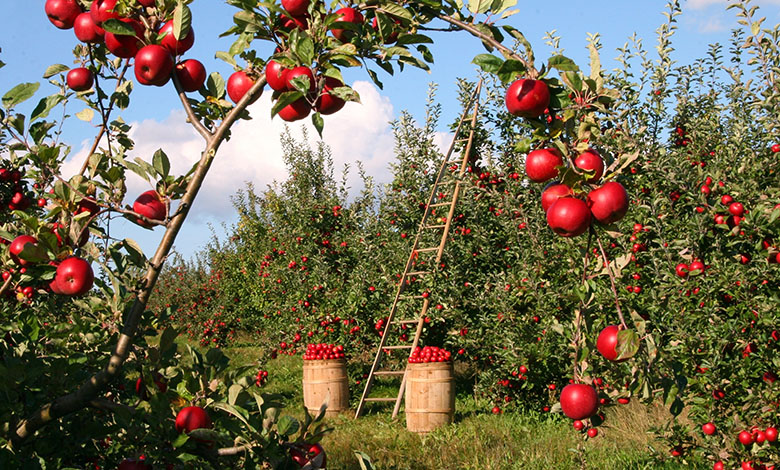 U suživotu s prirodom mjesta za GMO nema!