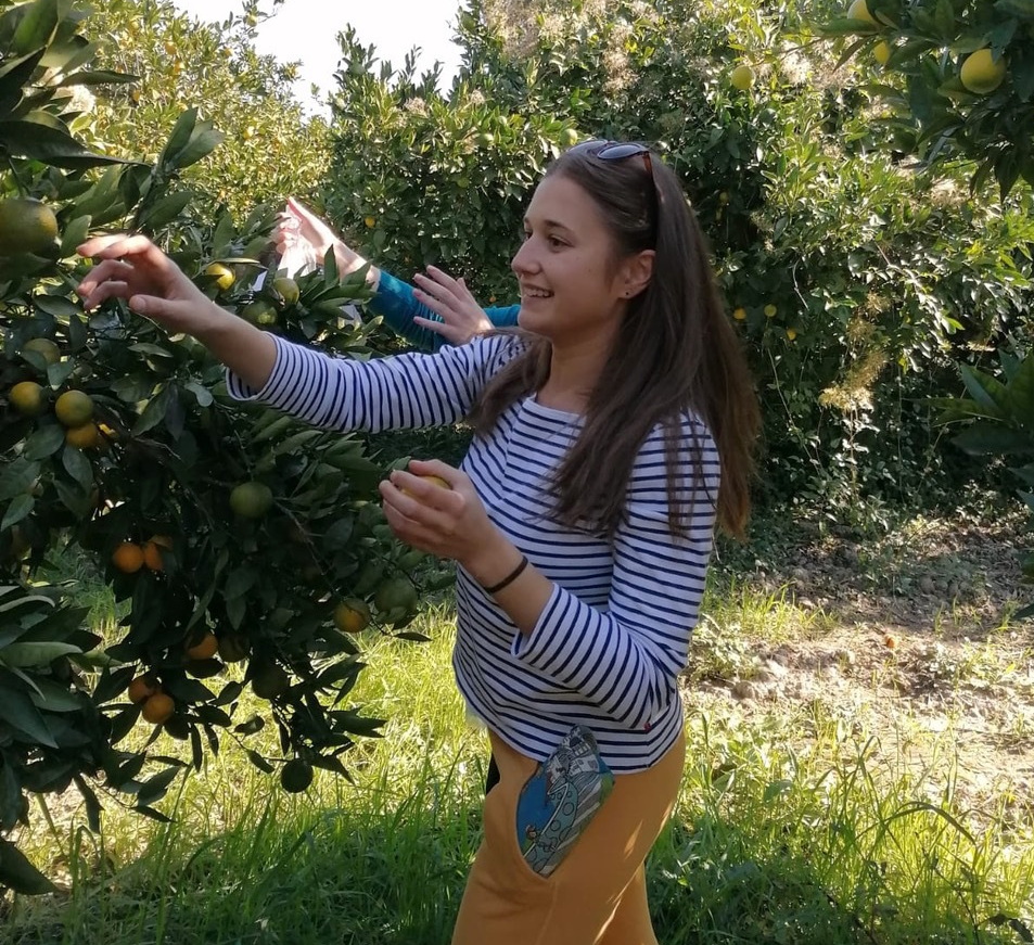 Agronomijom stvaramo gotovo sve čime se koristimo za život