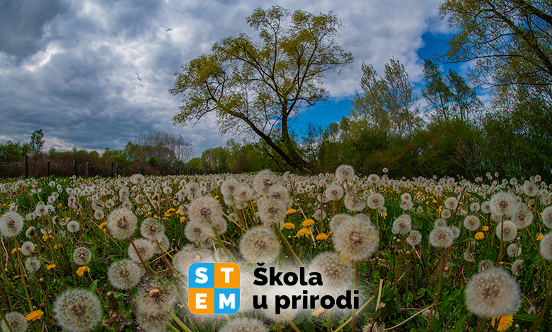 Klimatski neutralne tehnologije