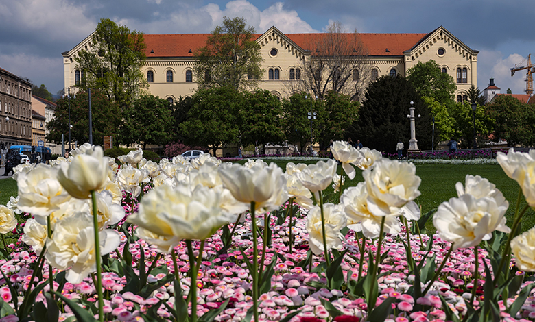 Sveučilište u Zagrebu u disciplini Poljoprivreda i šumarstvo među prvih 100 u svijetu
