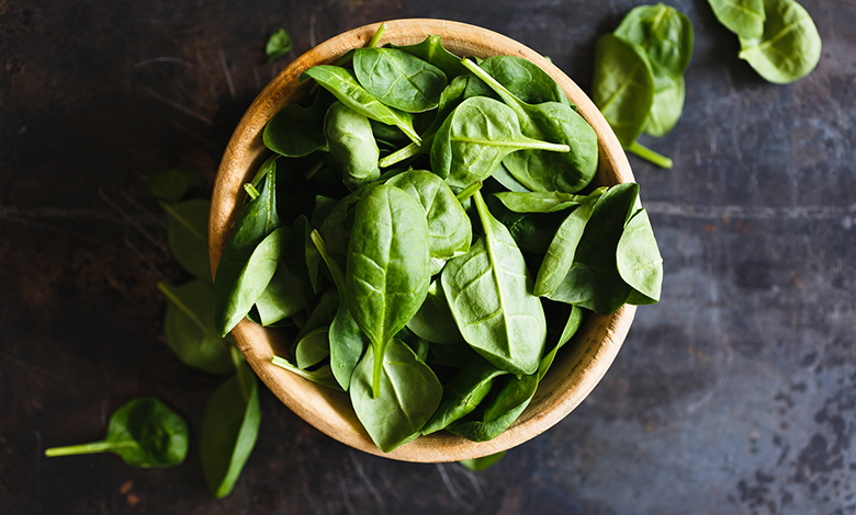Prvo prehrambeno savjetovalište za studente - NutriPROBION