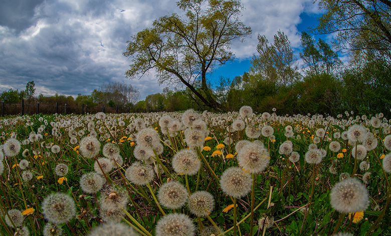 Svjetski je dan zaštite okoliša
