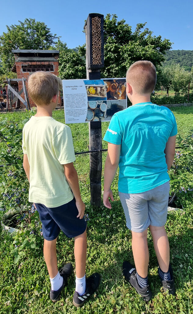 Poučna staza o biologiji i zaštiti pčela
