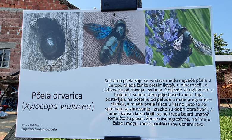 Poučna staza o biologiji i zaštiti pčela