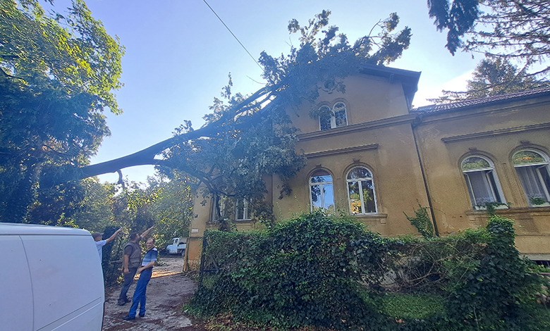 Kreće sanacija štete od nevremena na sastavnicama Sveučilišta u Zagrebu