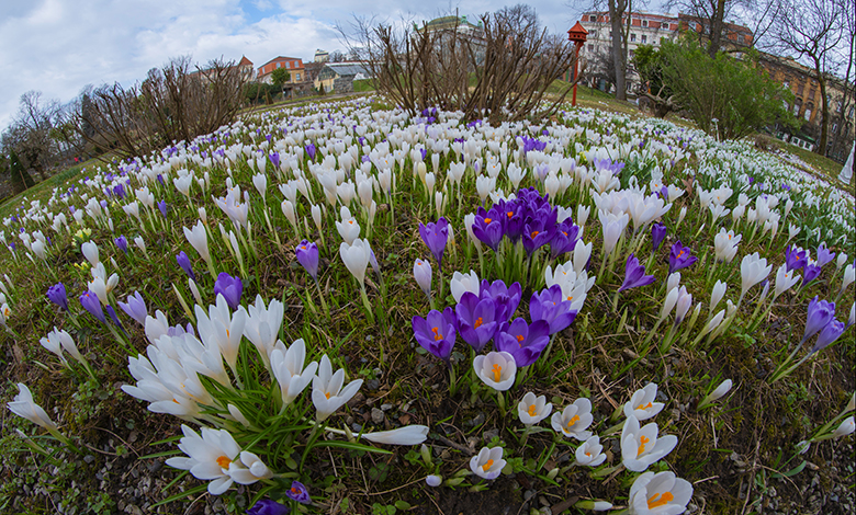 Otvoren je Botanički vrt PMF-a