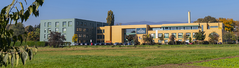 Pravila privatnosti
