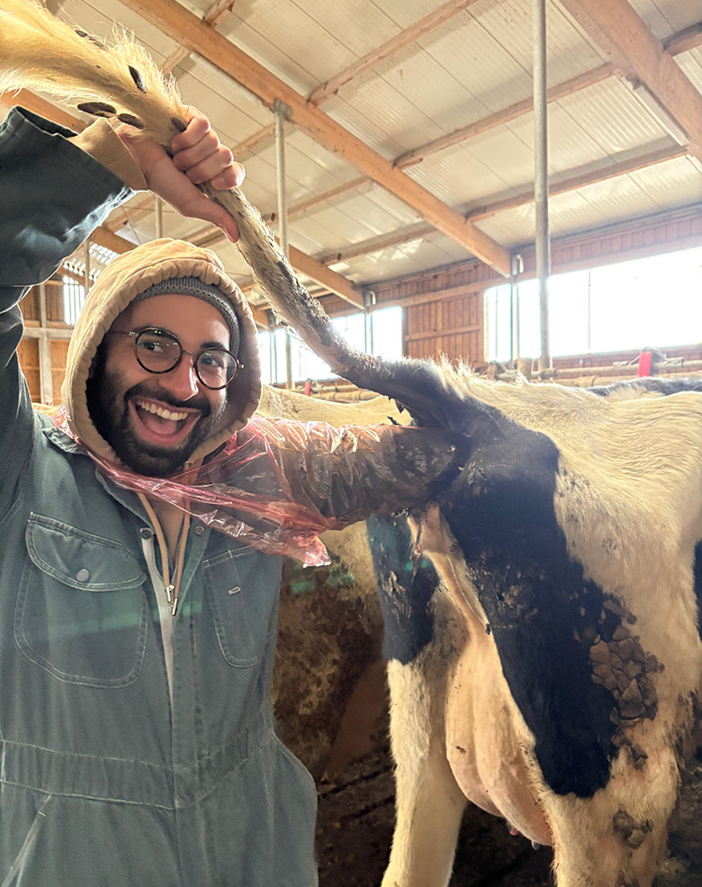 Zašto stranci vole studirati u Zagrebu?