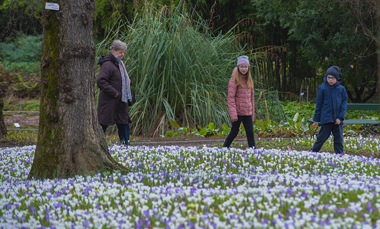 Nakon zimskog sna, Botanički vrt PMF-a otvorio svoja vrata