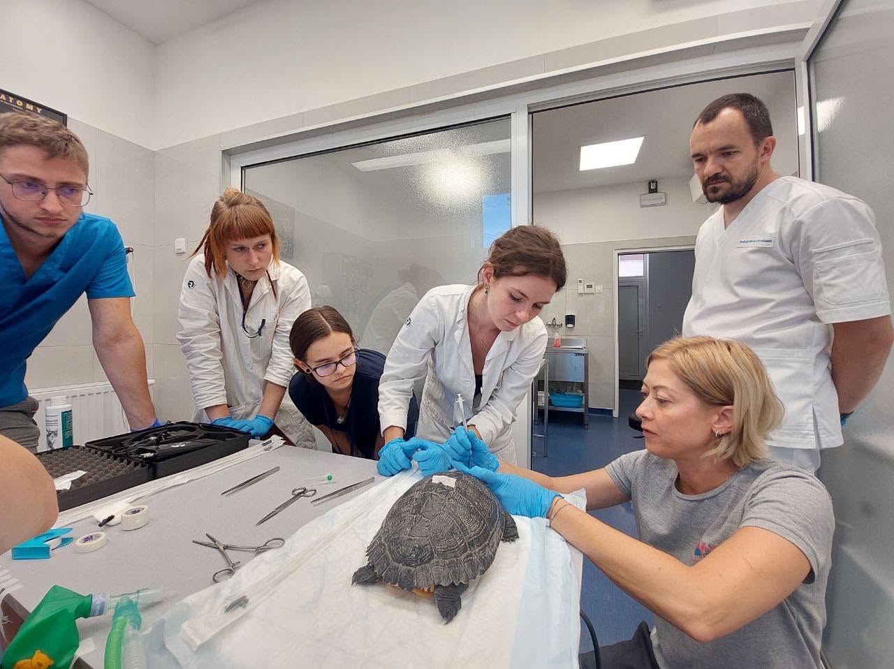 Veterinarski fakultet unaprjeđuje stručnu praksu i pripremu studenata za tržište rada