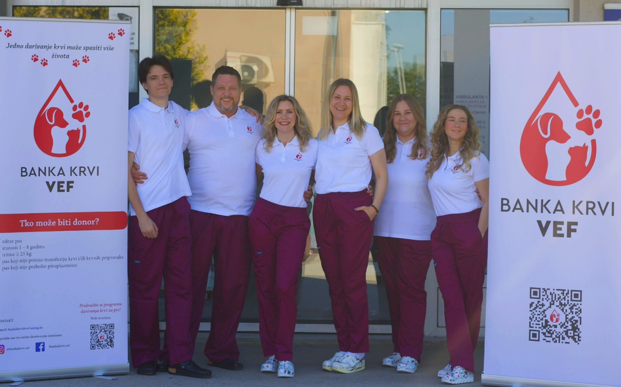 Psi darivatelji krvi spašavaju živote u novom programu Veterinarskog fakulteta