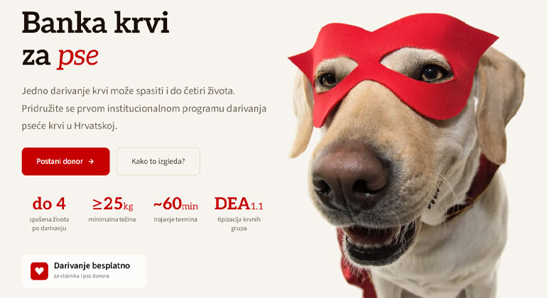 Psi darivatelji krvi spašavaju živote u novom programu Veterinarskog fakulteta