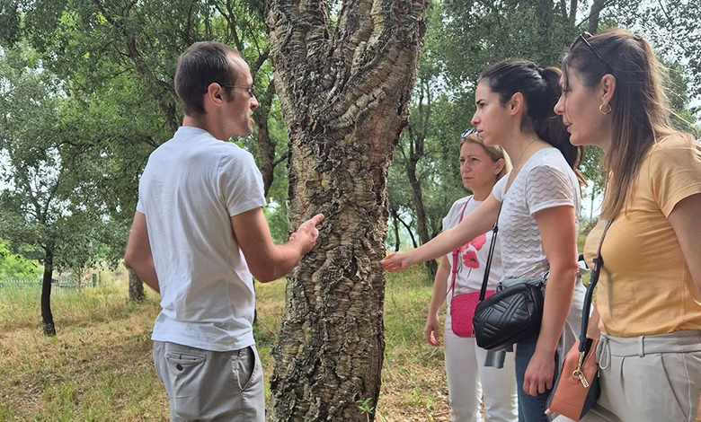 Pravila privatnosti